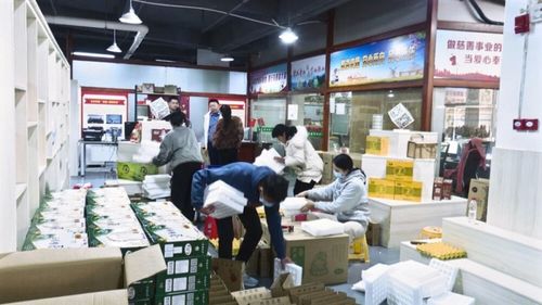 廣東南雄 培育壯大農(nóng)村電商經(jīng)營主體，激活鄉(xiāng)村振興新動能